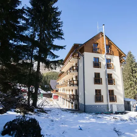Apartament 11